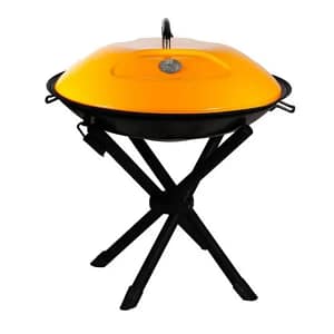 باربیکیو مدل زغالی